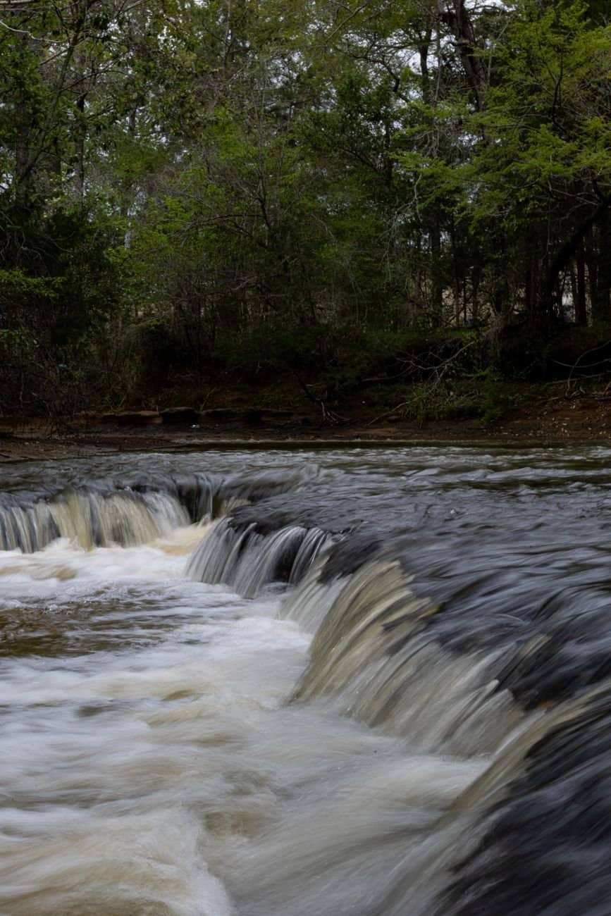 A serene waterfall in a lush Texas forest captures nature's beauty with flowing water and towering trees.