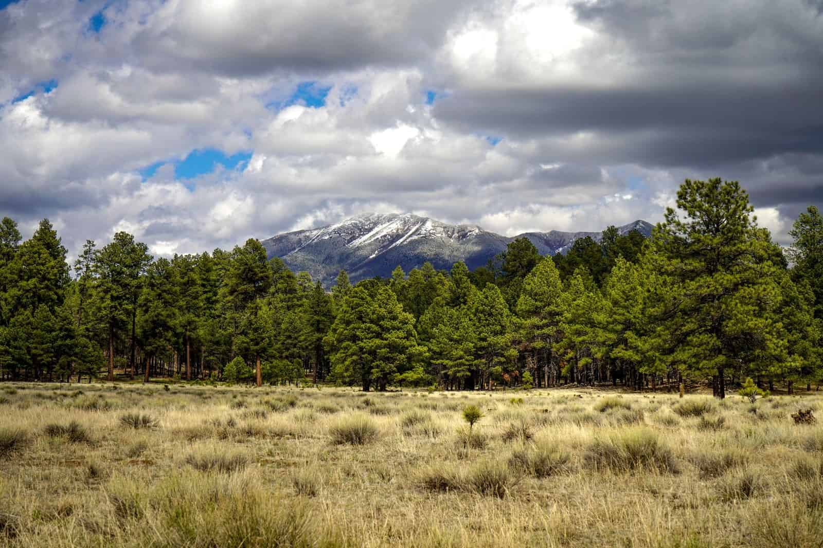 Travel scene related to What Flagstaff Arizona's real growth looks like – where new development is happening, who's moving in, what the infrastructure can handle