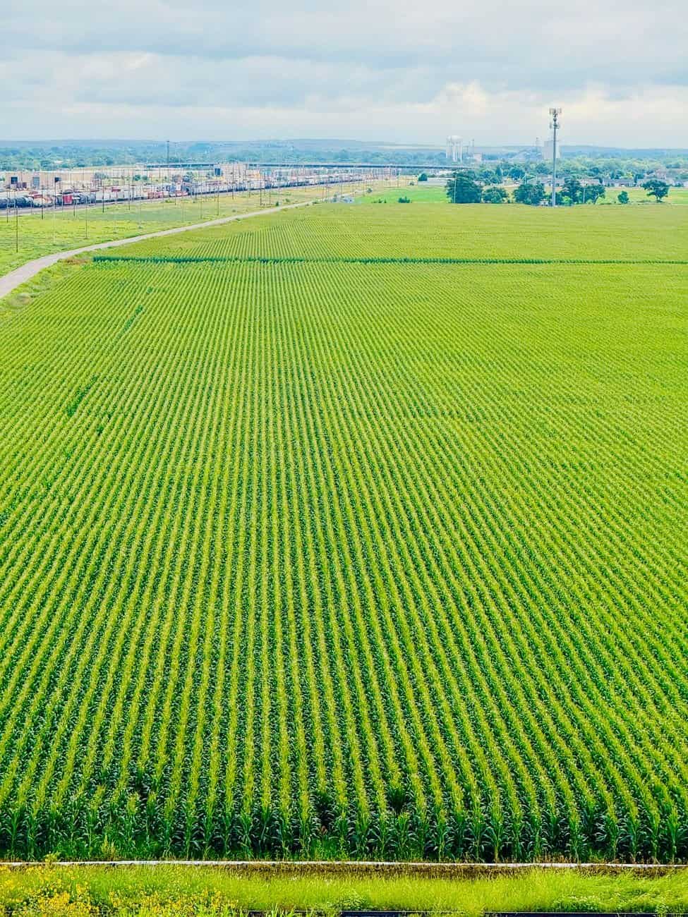 Aerial view of a vast, lush green cornfield stretching to the horizon under a cloudy sky in Nebraska.
