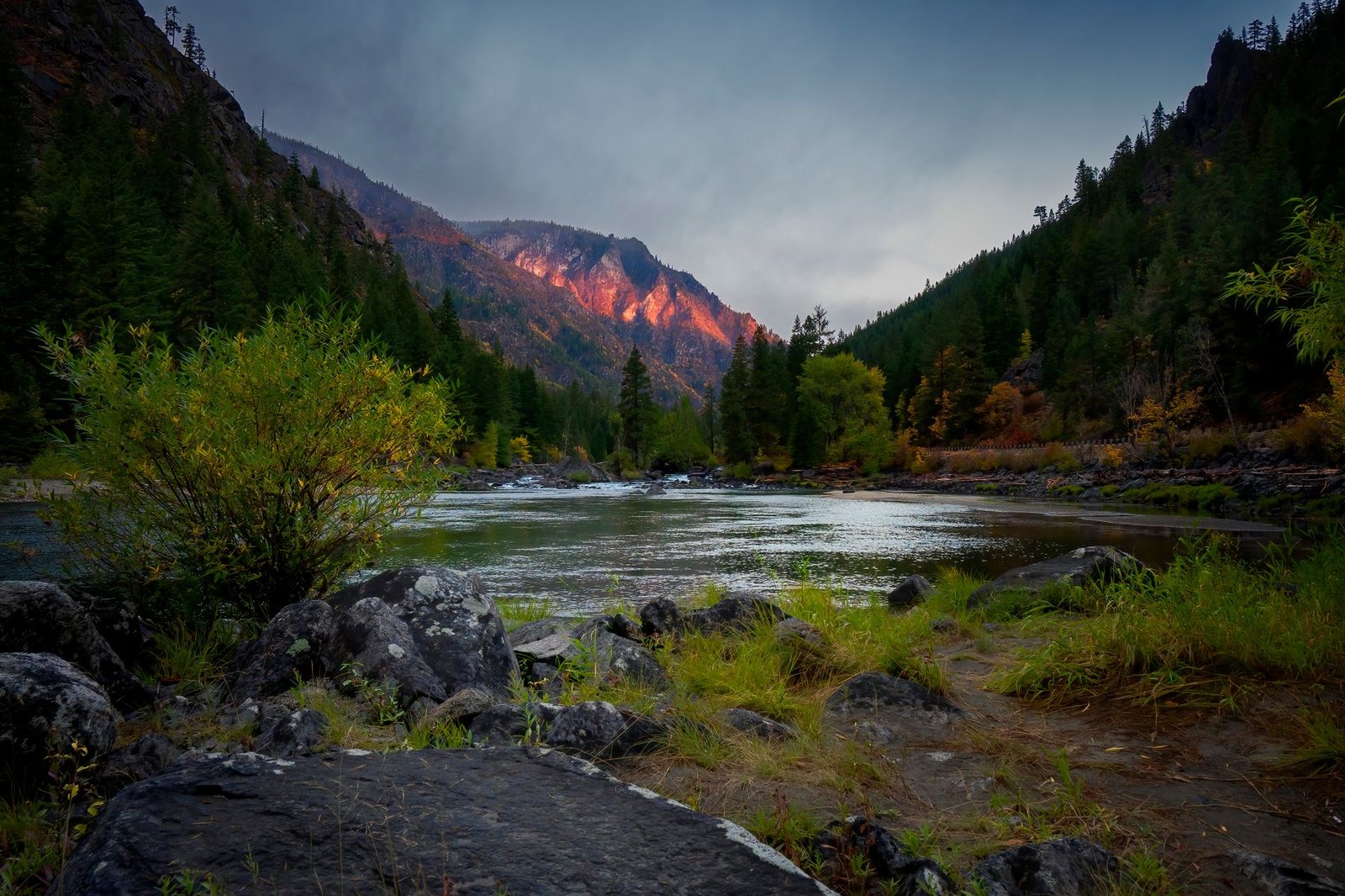 Serene lakeside view in Washington State with sunrise over coniferous trees and mountains.