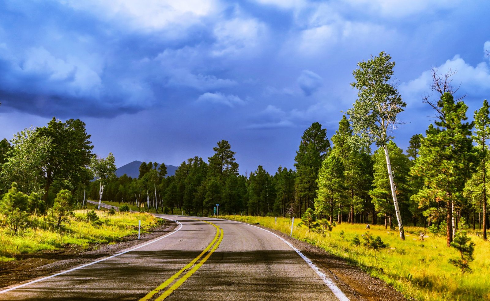 A tranquil road through a lush forest in Flagstaff, AZ, under a dramatic, cloudy sky.