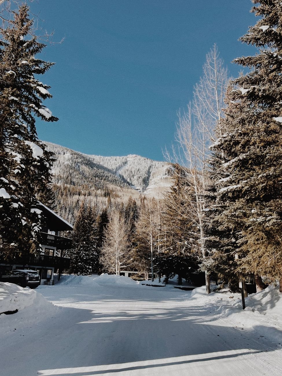 Beautiful snow-covered path lined with trees in Vail, Colorado under a clear blue sky.