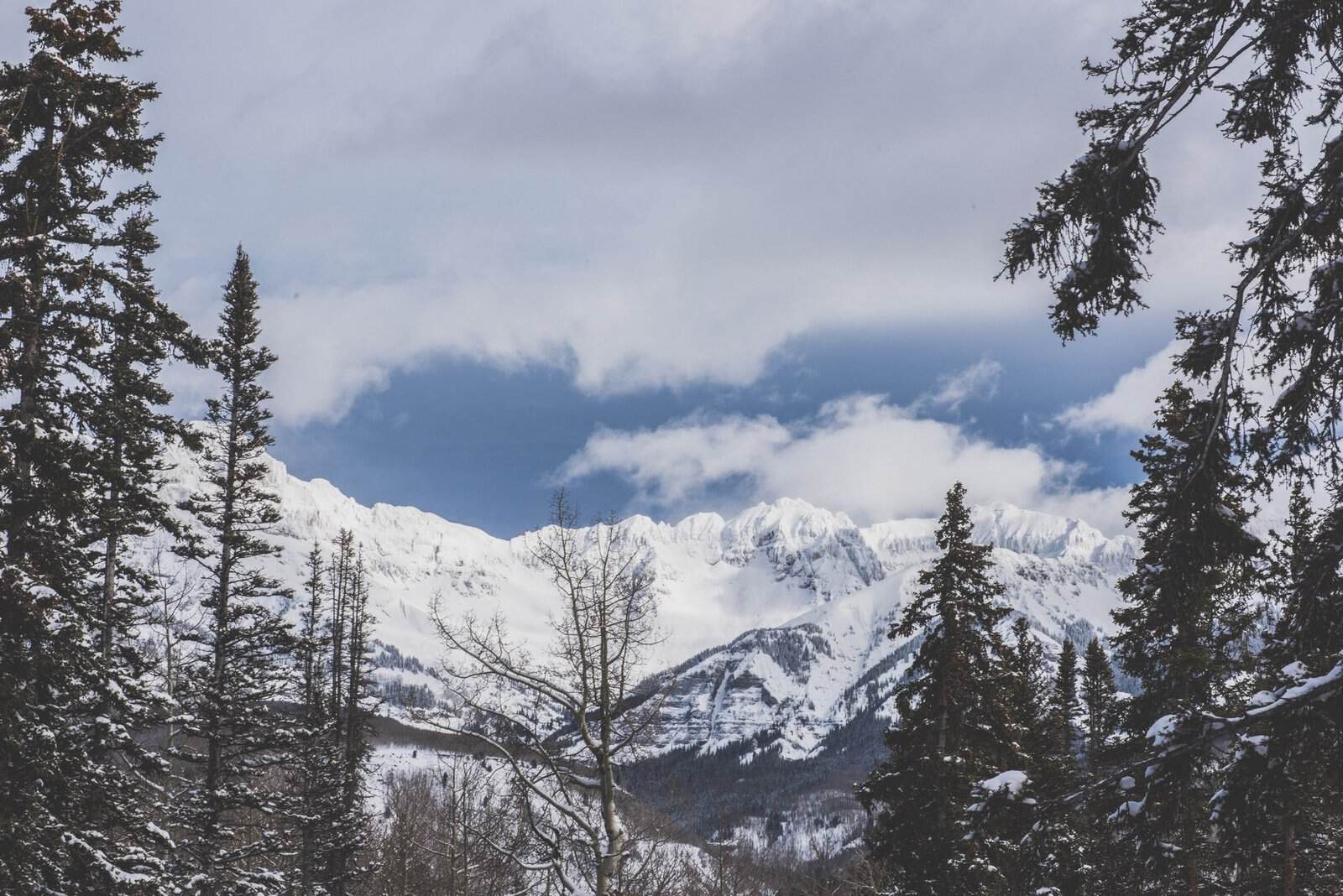 Scenic view of snow-covered mountains and trees in Telluride, Colorado during winter.