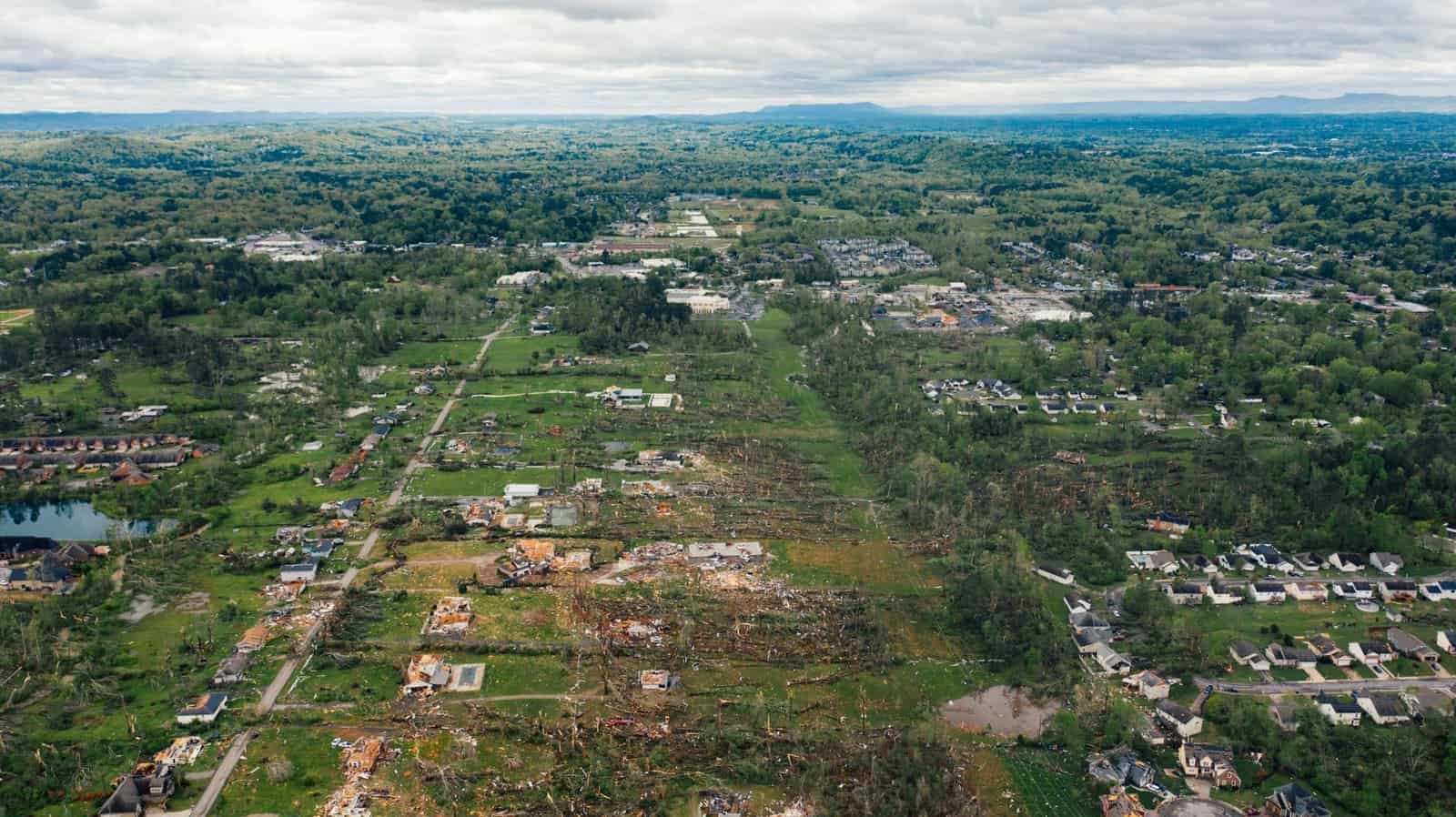 Drone view cut down trees heaped on green lawn amidst suburban village with cozy cottages