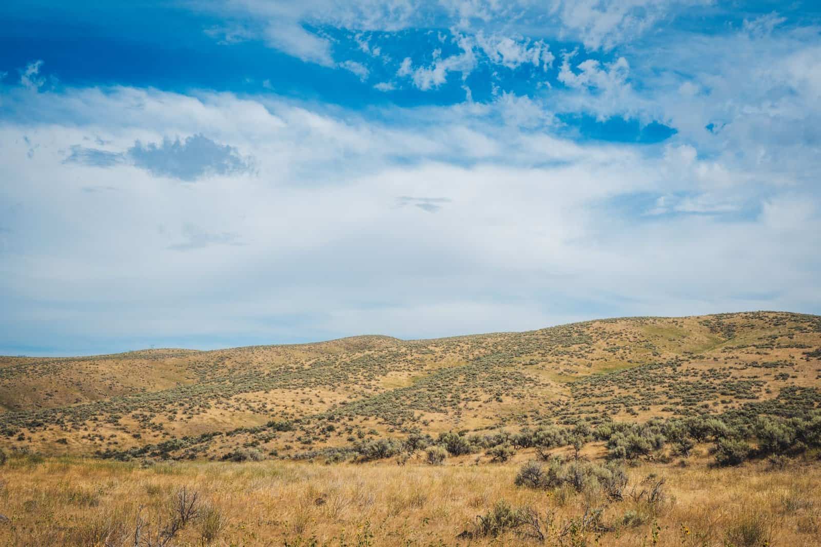 Scenic view of dry hills and blue sky in Boise, Idaho.