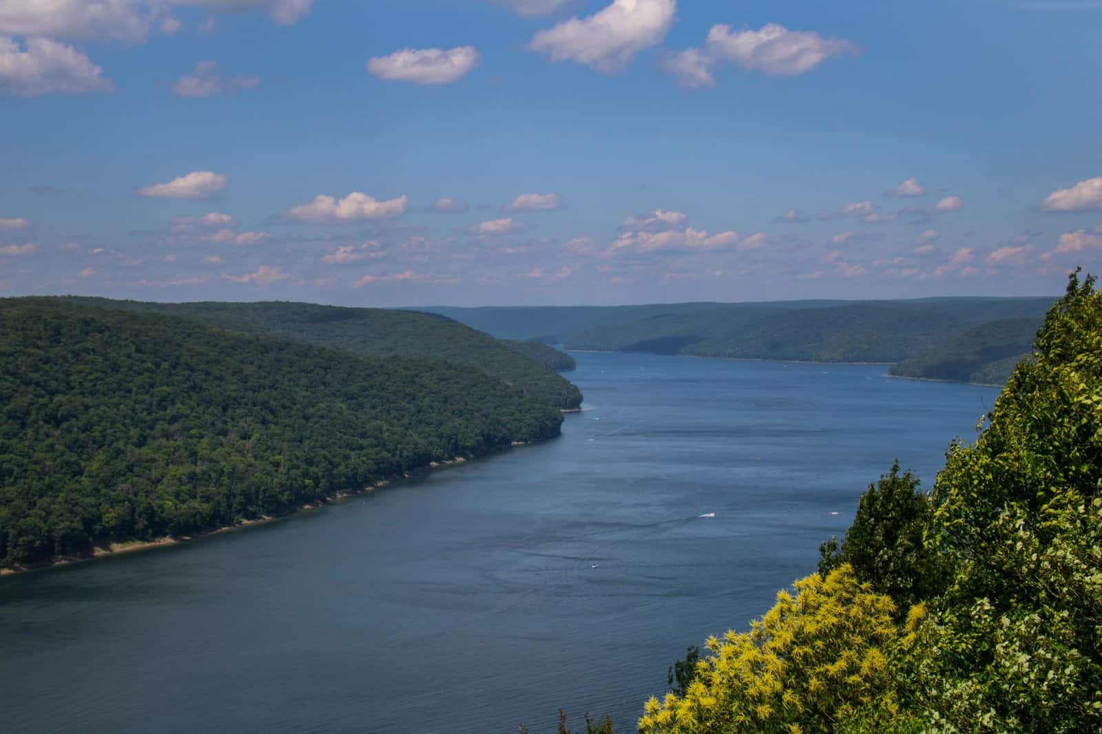 Scenic view of a calm river and lush forests under a cloudy sky in Marienville, PA.
