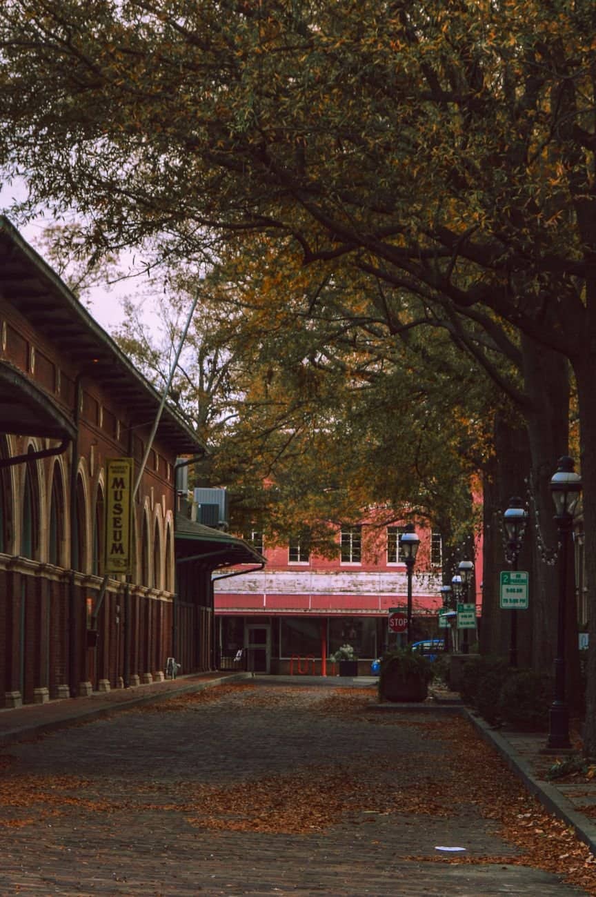 Picturesque cobblestone street in downtown Paducah, KY, lined with historic buildings and autumn trees.