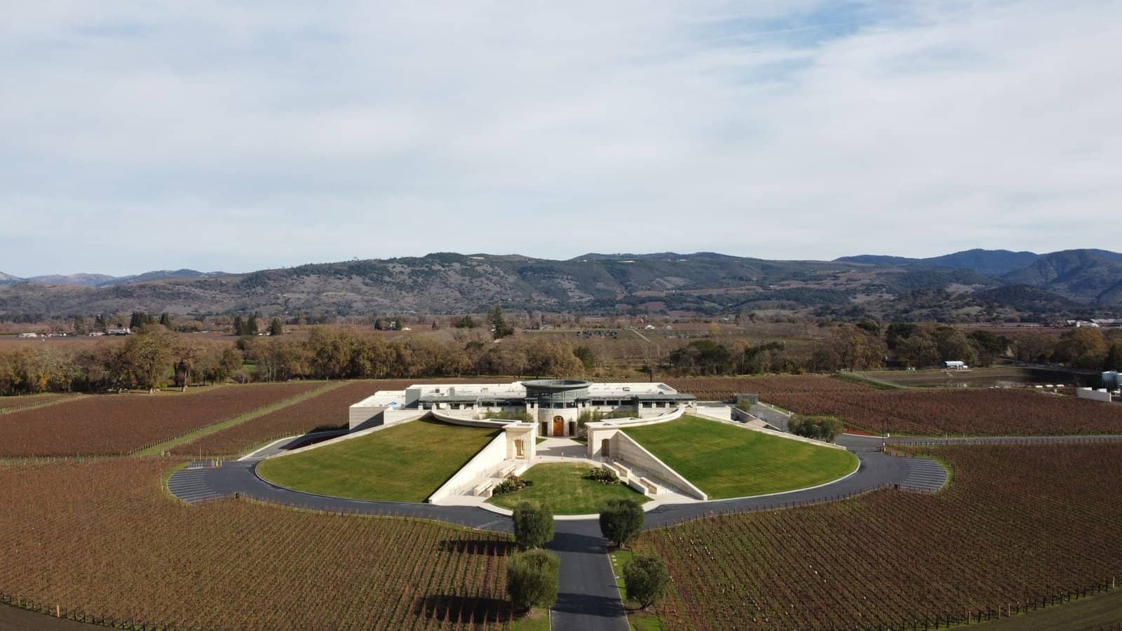 A view related to Napa Valley, California