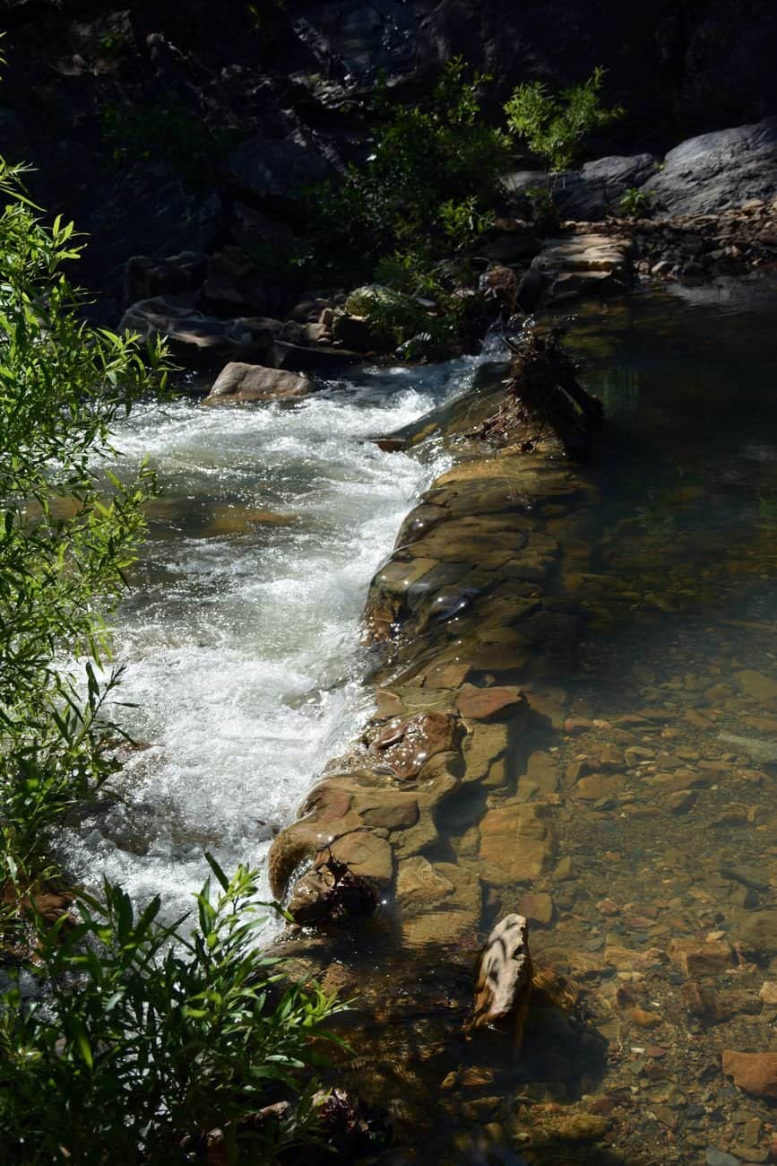 Beautiful clear stream cascading over rocks in a serene forest setting, Hot Springs National Park.