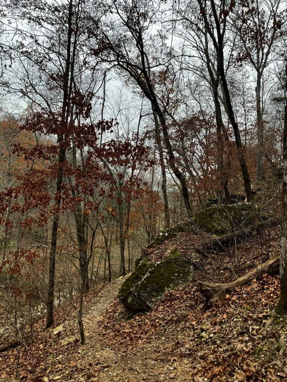 A view related to the Ozarks