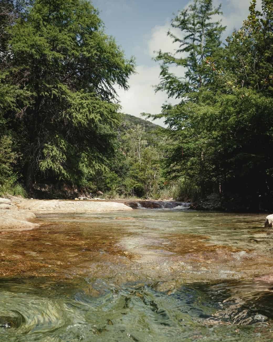 Serene view of the Frio River flowing through lush green trees in Concan, Texas.