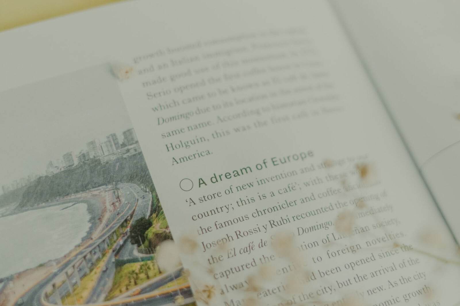travel publishing travel scene