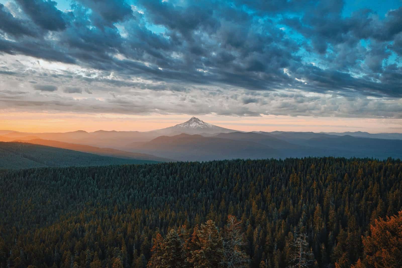 Stunning view of a snow-capped mountain at sunset with a vast pine forest in the foreground under dramatic skies.