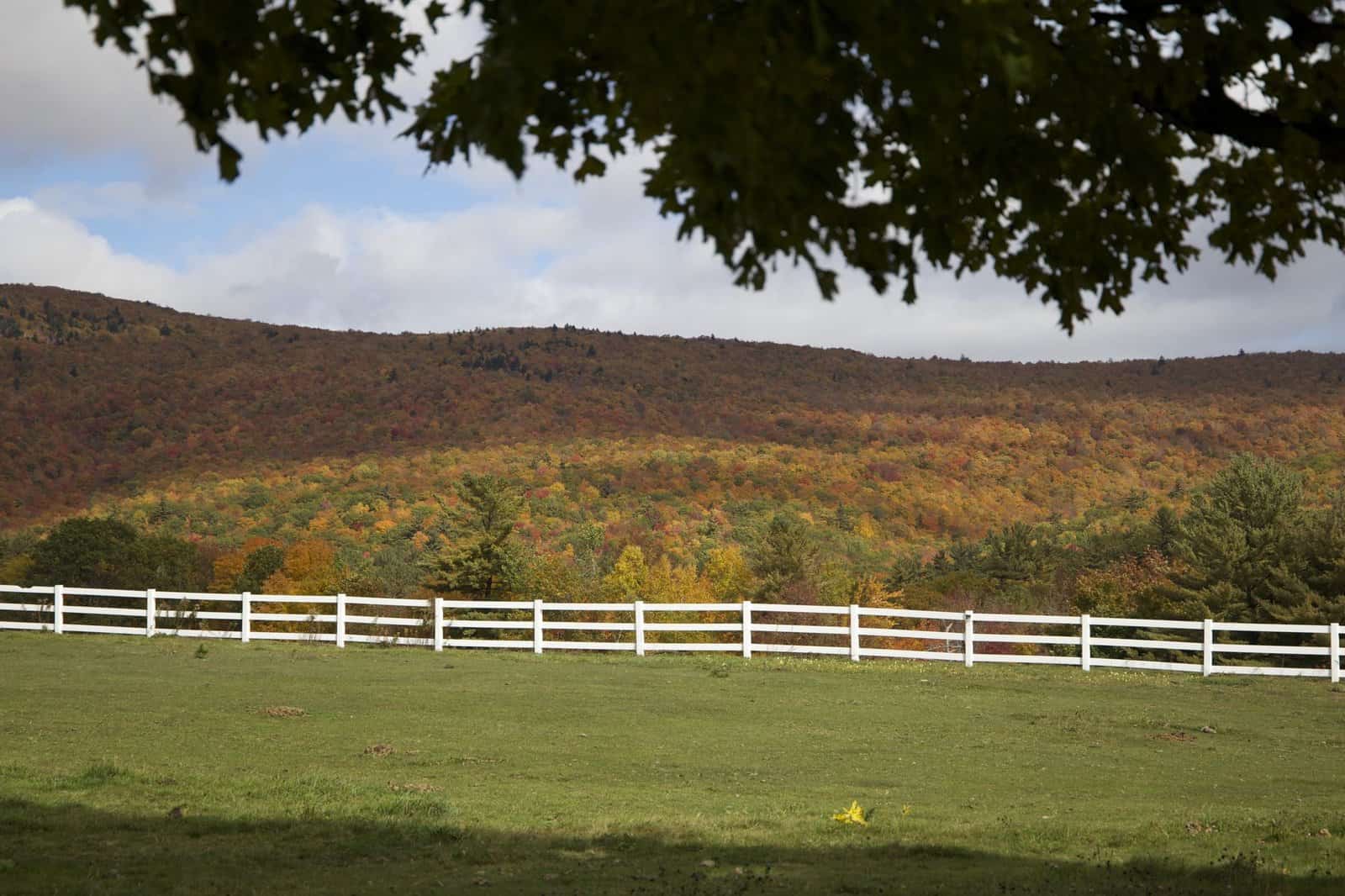 Beautiful autumn landscape featuring rolling hills and a white fence under a cloudy sky.