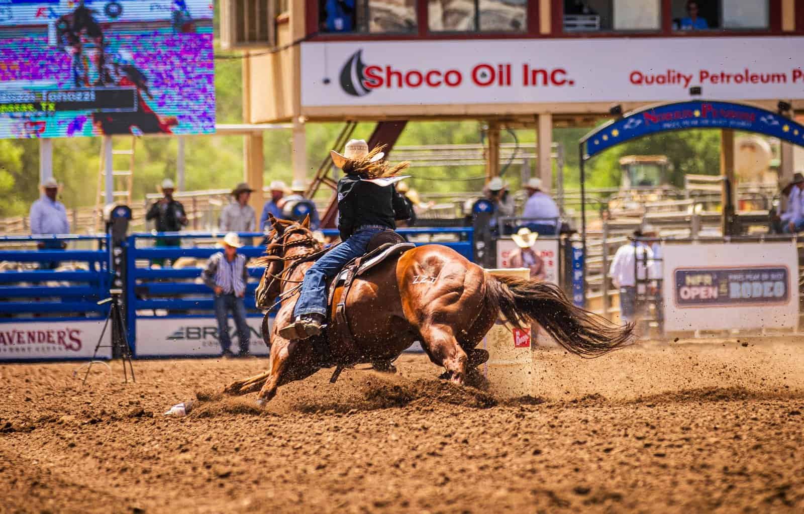 Rodeo scene with cowboy riding a horse, dust flying, capturing thrilling western action.