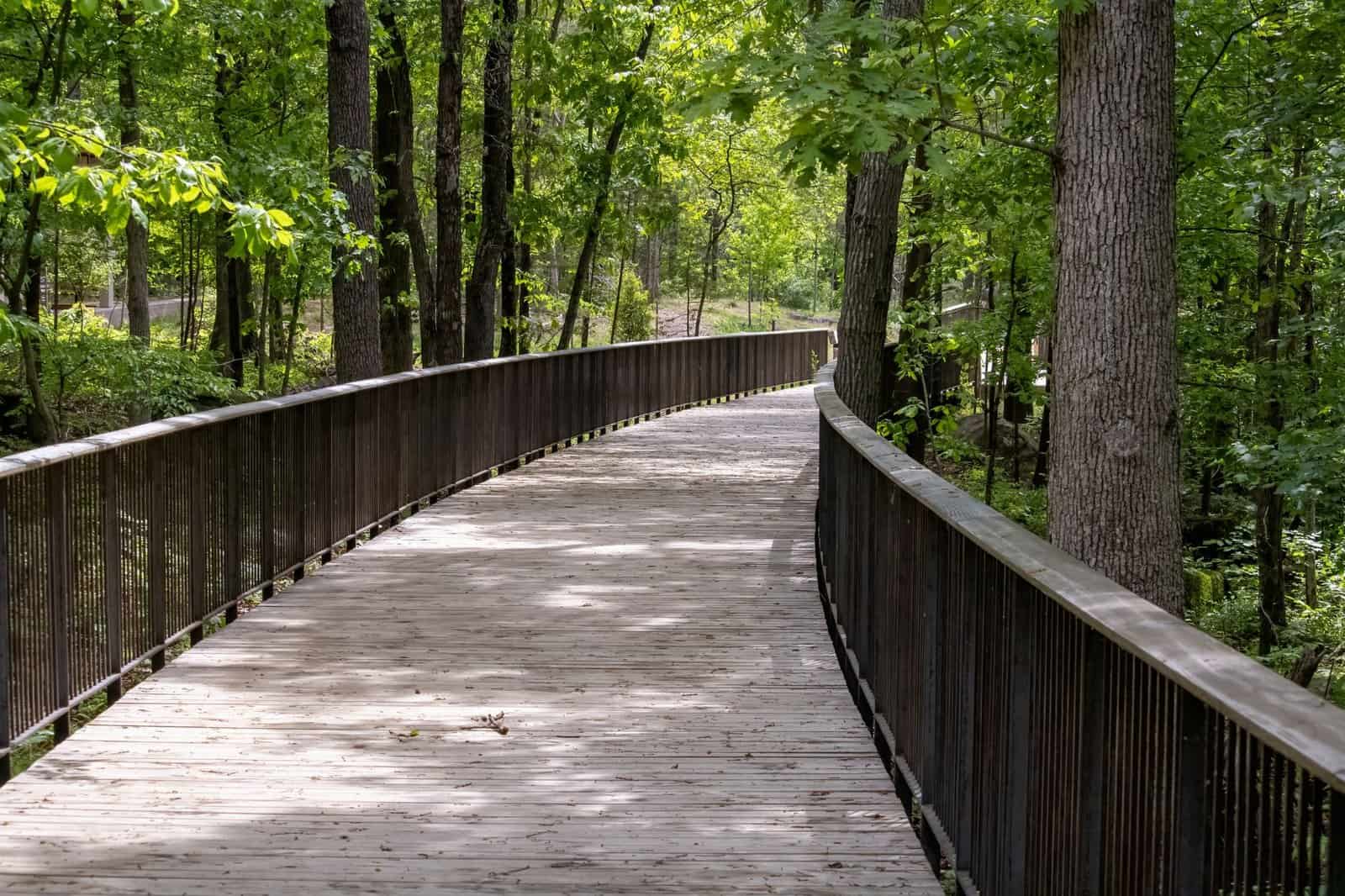 Explore a serene wooden pathway winding through a vibrant forest in Ashburn, Virginia.