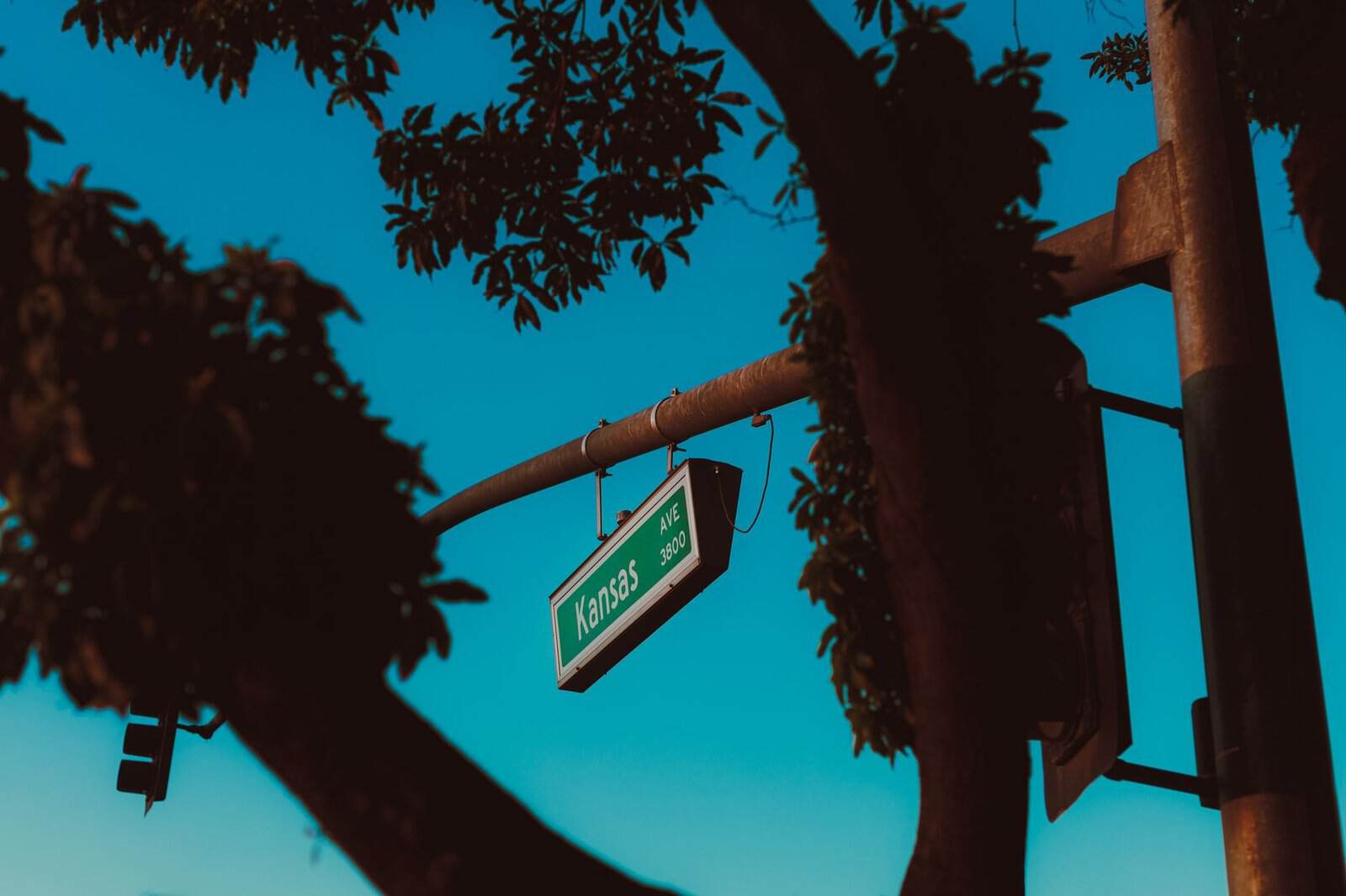 Street sign for Kansas Avenue surrounded by tree silhouettes against a clear sky.
