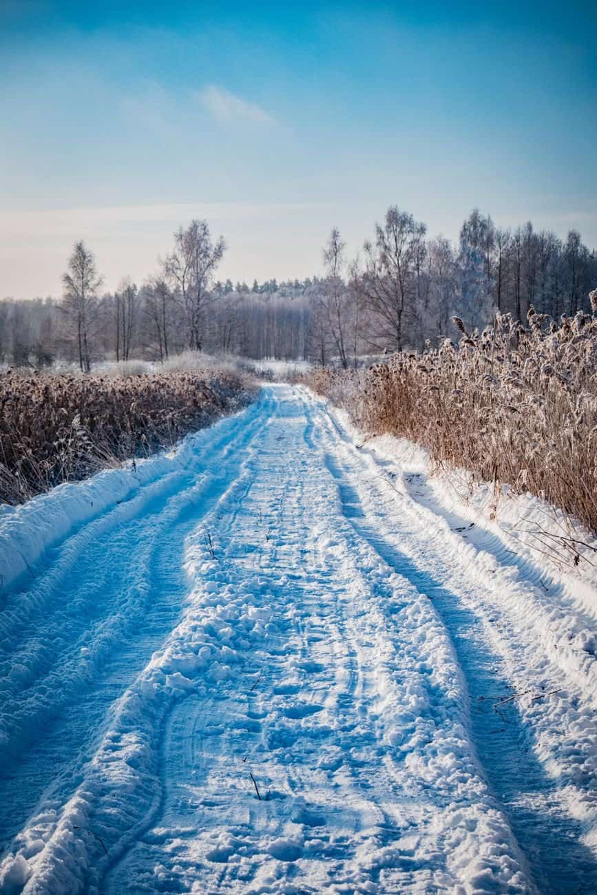 Scenic snowy road lined with frosted trees under a clear blue sky in winter.