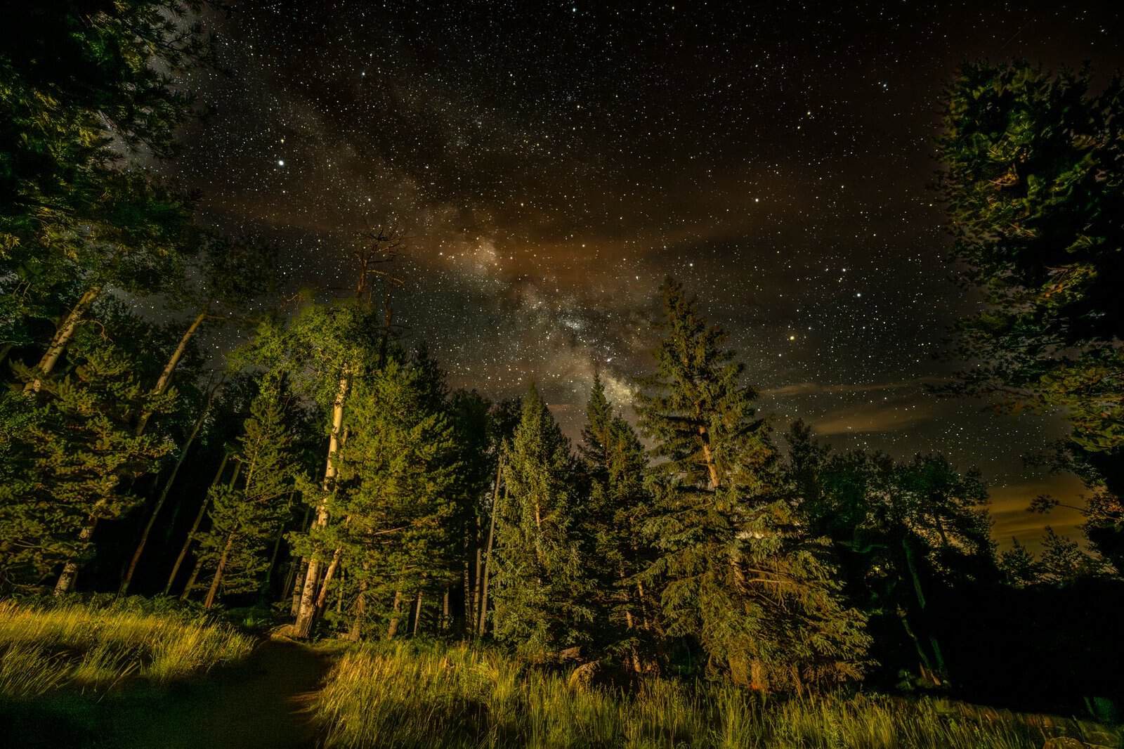 Breathtaking view of the Milky Way galaxy above a forest in Flagstaff, Arizona at night.