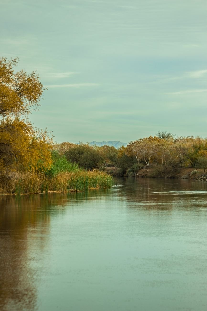 Tranquil autumn river with lush foliage in Yuma, AZ reflecting calm water under a cloudy sky.