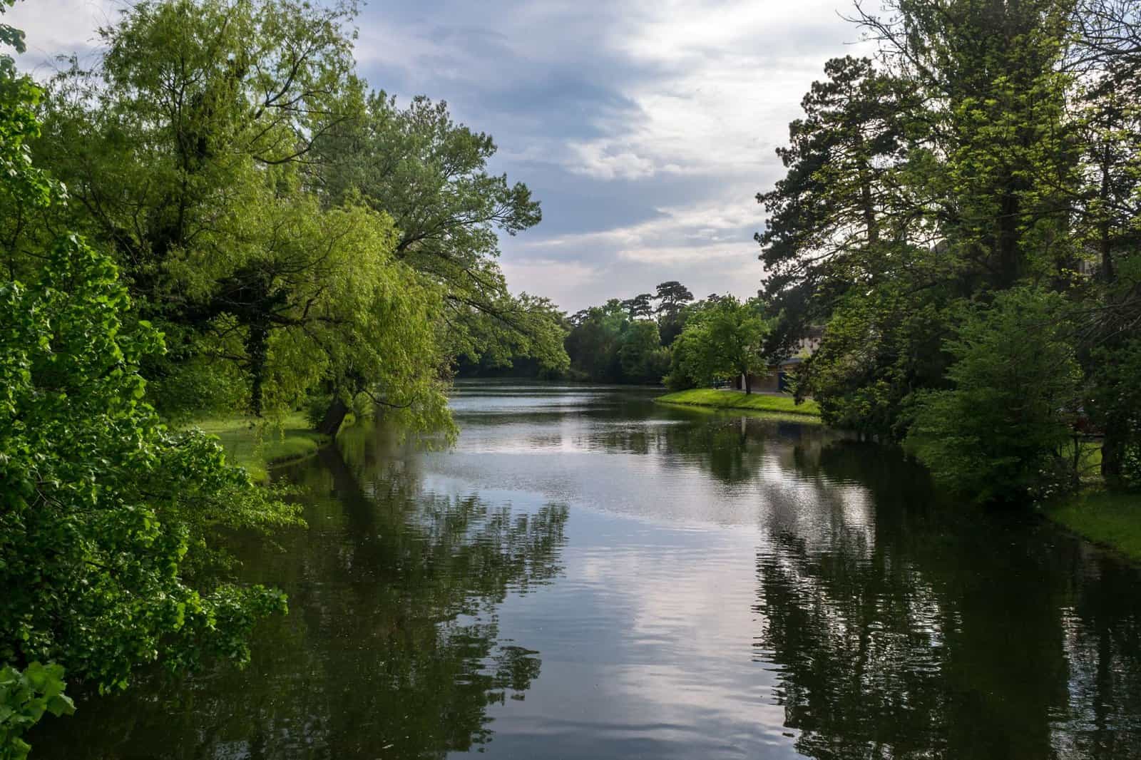 Peaceful river scene with reflections and lush trees in a tranquil Austrian forest, perfect for nature lovers.