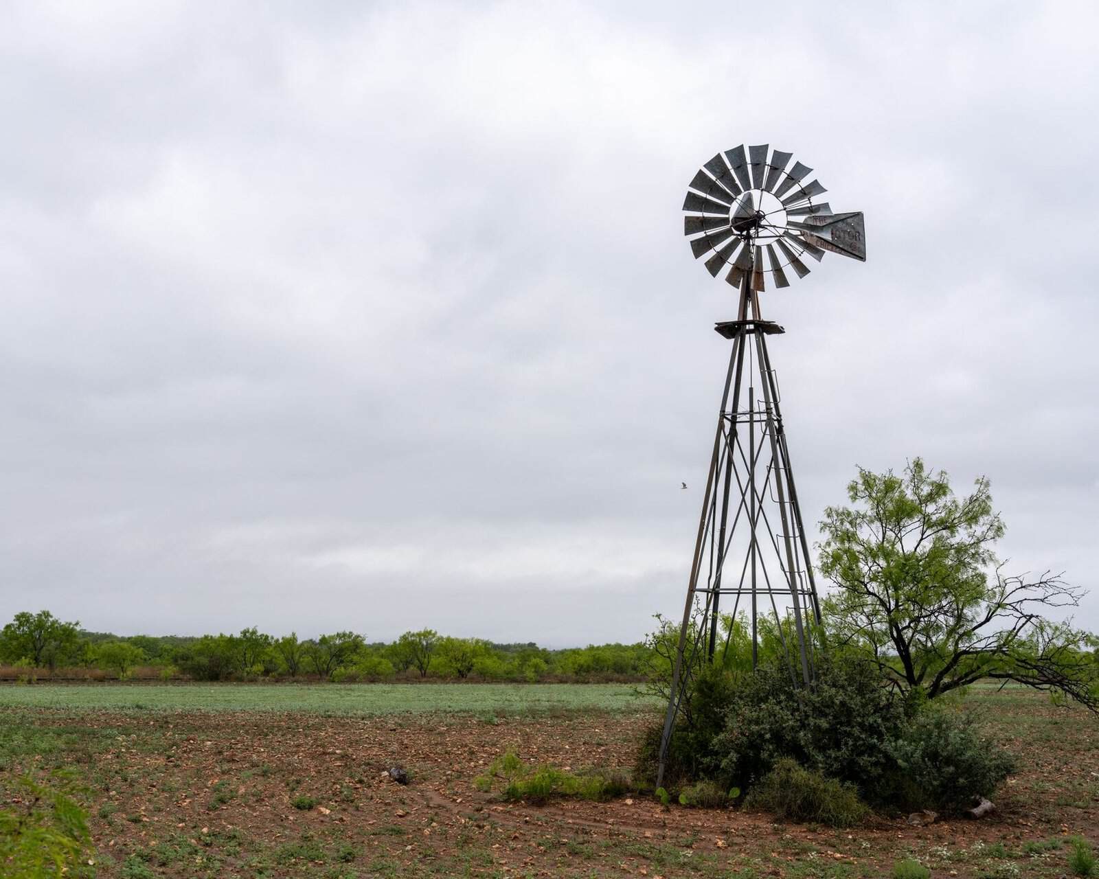 A classic windmill stands in the rural fields of Abilene, Texas under an overcast sky.