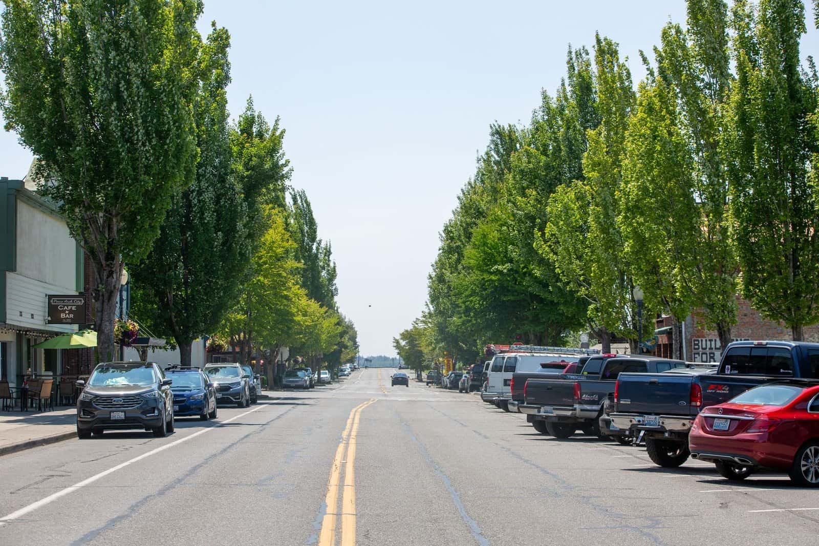 A serene urban street scene featuring lined trees and parked cars under a bright sky.