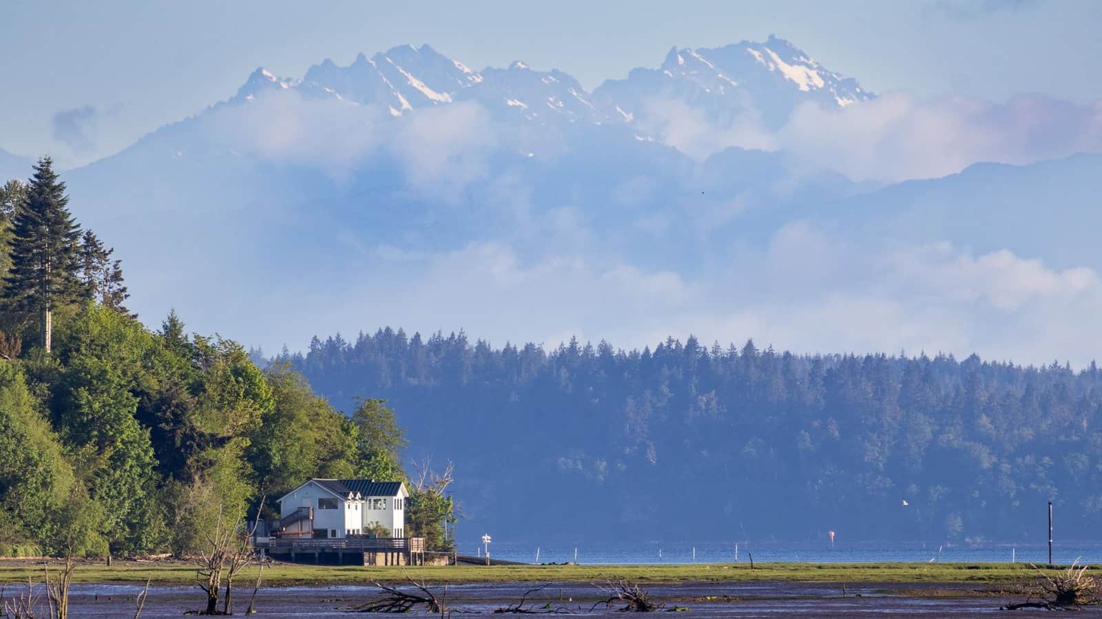 Breathtaking landscape of Olympic Mountains, trees, and a house in Olympia, Washington.