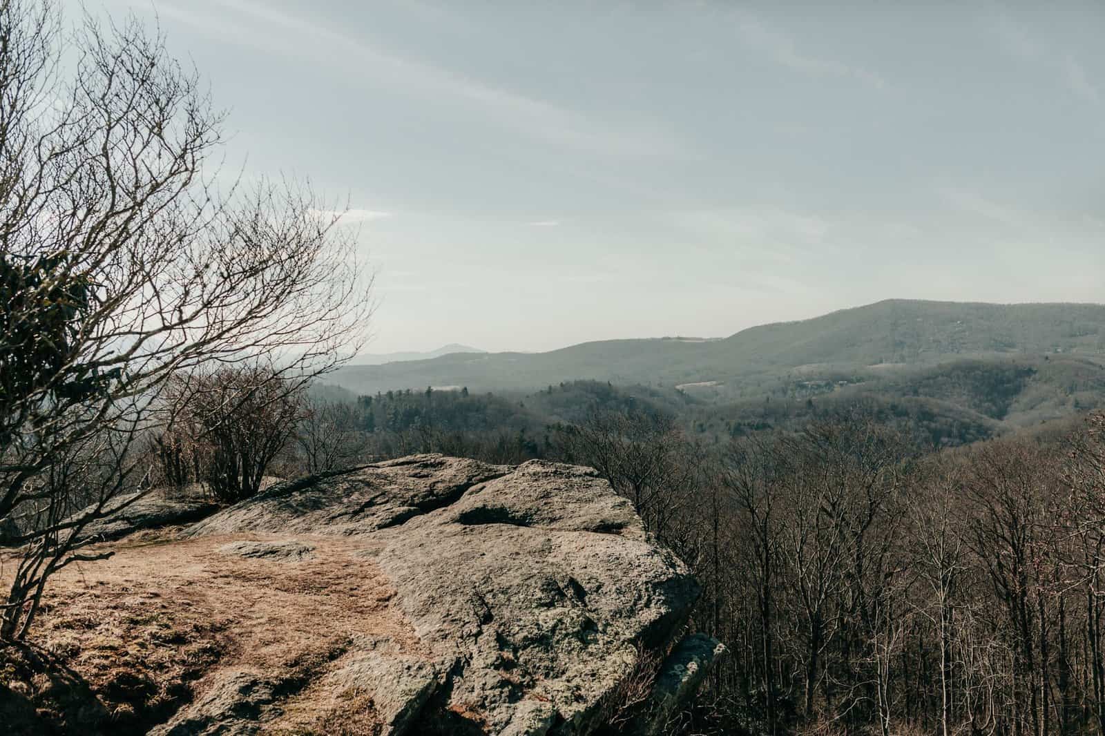 Expansive view of Asheville's mountains and forest, capturing the essence of fall.