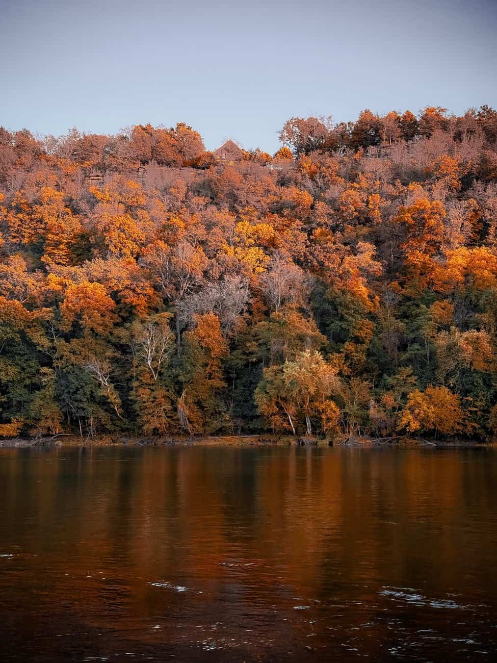Beautiful autumn forest reflecting in a tranquil river in Arkansas.