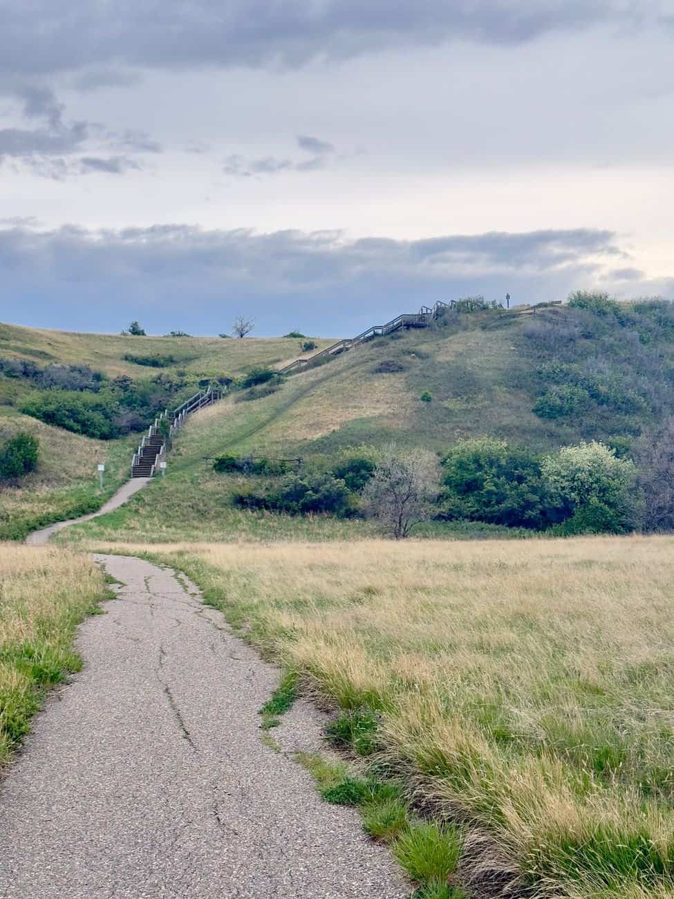 Great Falls, Montana Has Been Growing For 3 Years. The People Who Got There First Know Why
