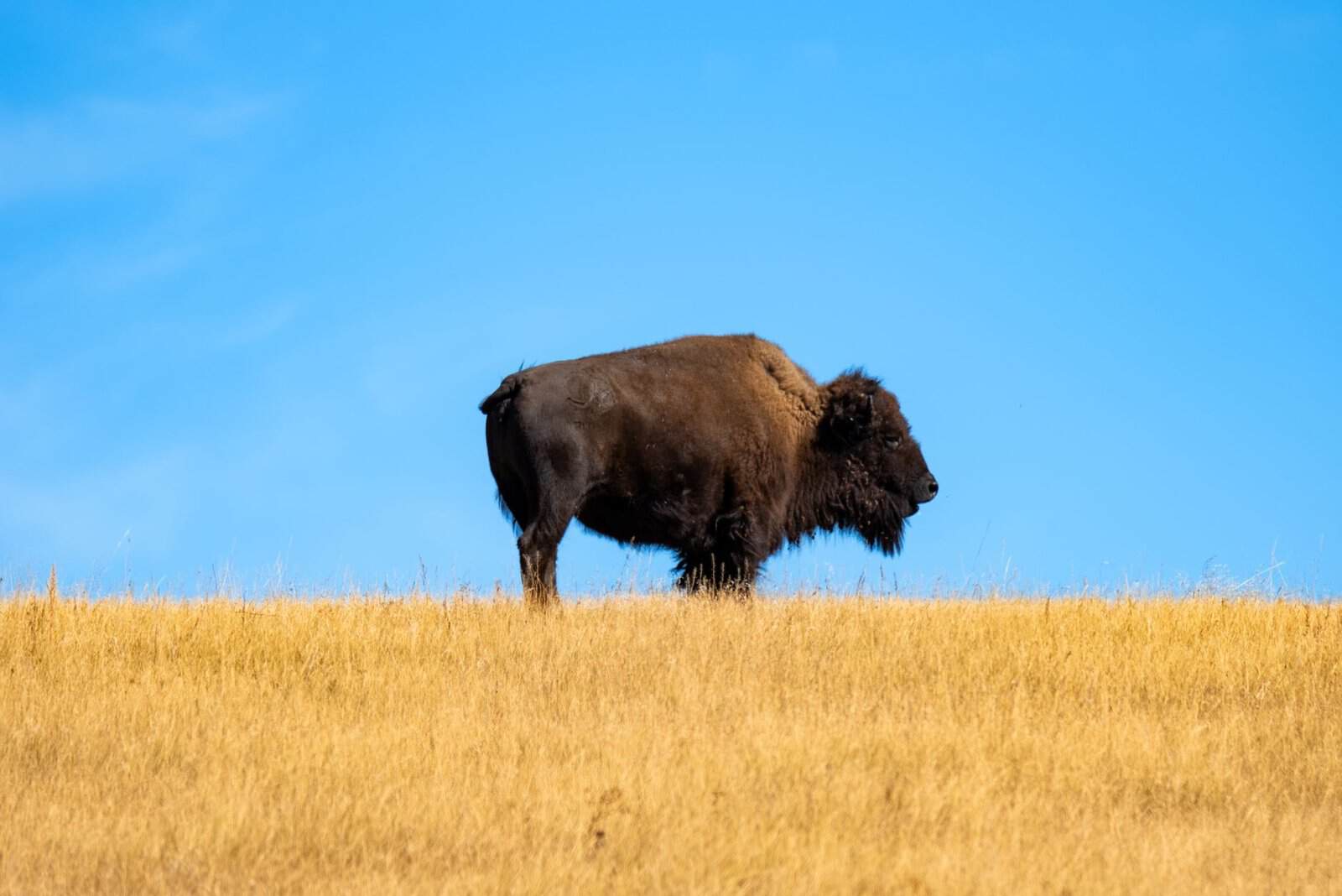 The Black Hills in September Have the Crowds of July Without the July Prices