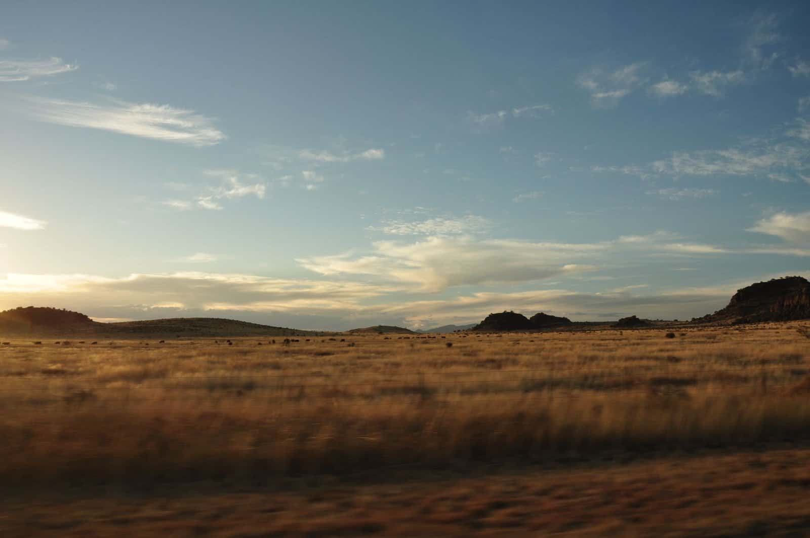 Lubbock, Texas Isn’t on Anyone’s Travel List. That’s Exactly Why I Went