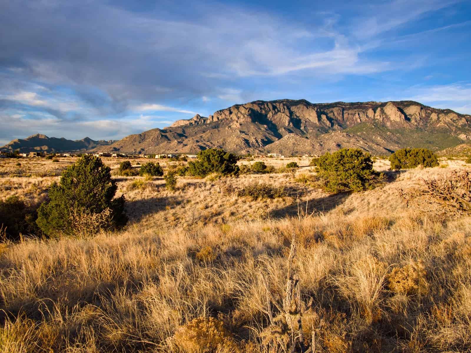 Beautiful view of Sandia Mountains in Albuquerque, New Mexico at sunset with lush desert foreground.