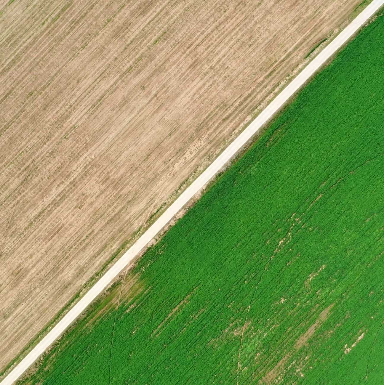 Drone shot of green and brown fields divided by a country road in Shuozhou, Shanxi, illustrating agricultural symmetry.