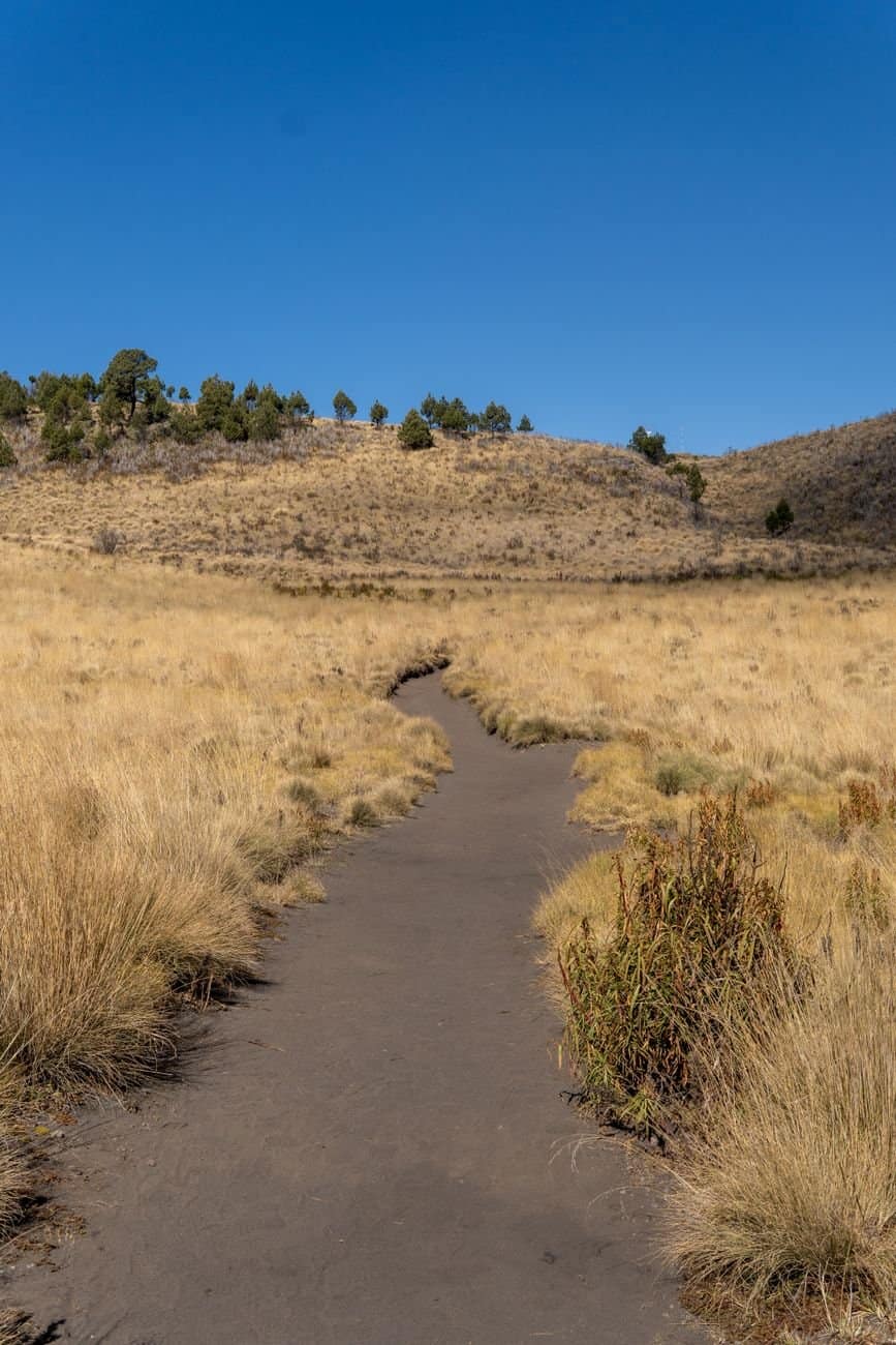 Explore the picturesque trail at Paso de Cortes in Puebla, Mexico under a clear blue sky.