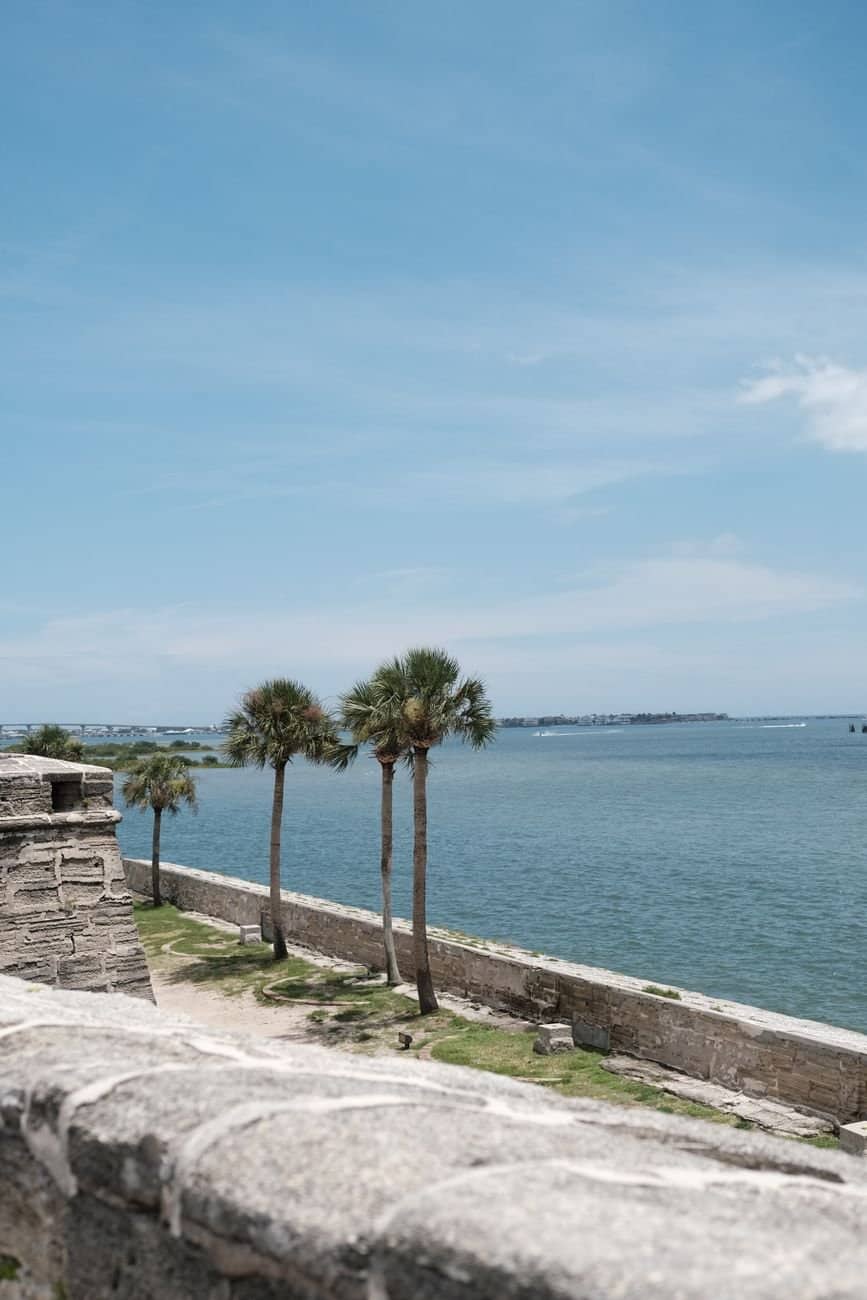 Scenic view of a historic coastal fort overlooking the ocean with palm trees and a clear blue sky.