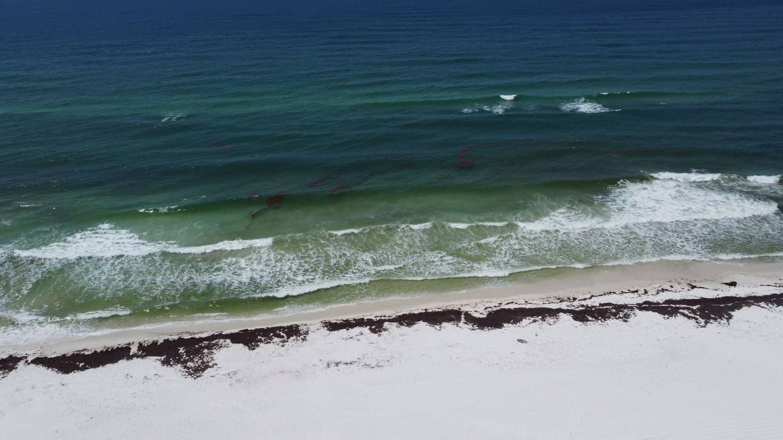 Aerial photograph showcasing the pristine blue waves and white sand of Pensacola Beach, Florida.