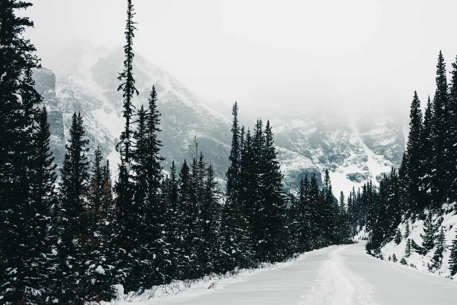 These Are the US National Parks That Are Worth Visiting in Winter — and What Changes When You Go